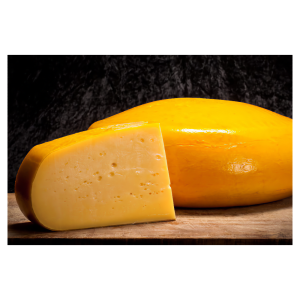 Queso Fontina